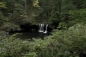 Upper_Butte_Creek_Falls-4