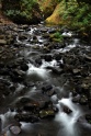 Wahkeena_Creek-2