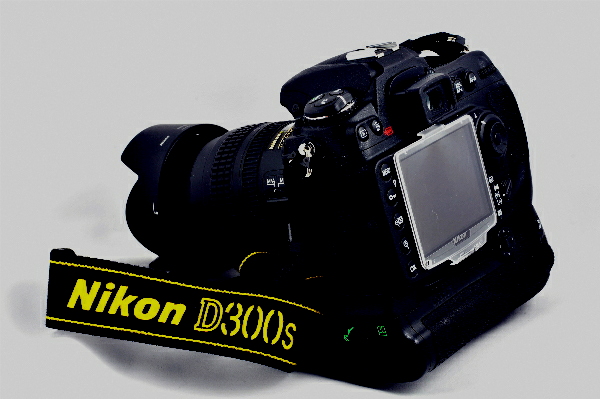D300s