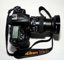 d300