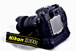 D300s